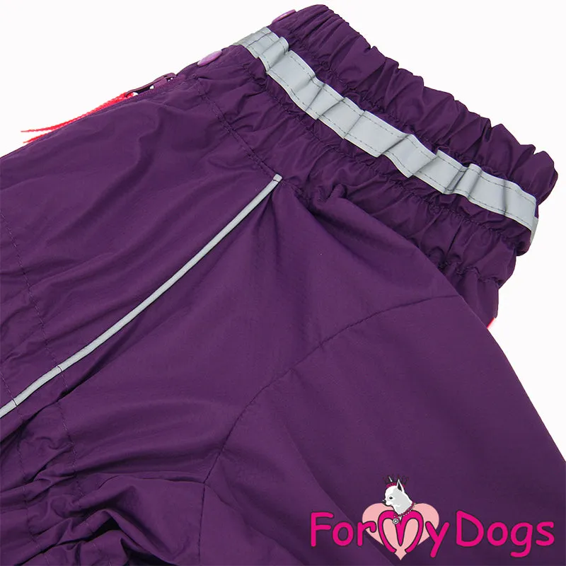 Perfect Purple Rainsuit For Girls For Medium, Large Breeds & Pugs SPECIAL ORDER