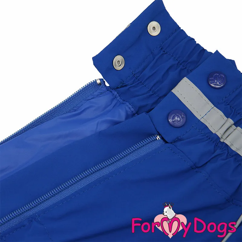 Ready To Race Rainsuit For Boys For Medium, Large Breeds, Pugs & Westies SPECIAL ORDER