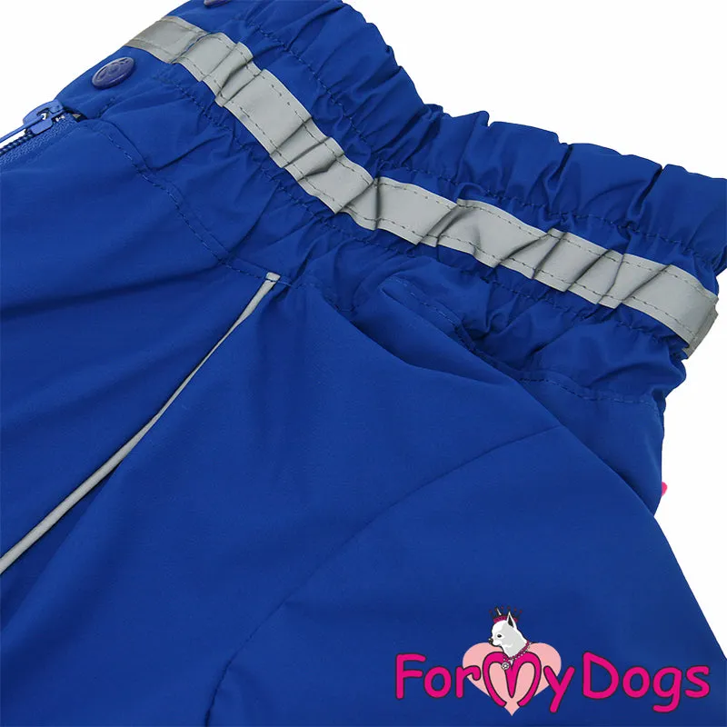 Ready To Race Rainsuit For Boys For Medium, Large Breeds, Pugs & Westies SPECIAL ORDER